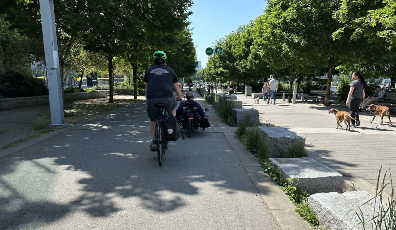 A cyclist wearing a green helmet and dark clothing rides along a paved path in a sunlit park, flanked by trees and greenery. Another person ahead navigates a low recumbent bike. The path is split into two lanes marked for pedestrians and cyclists, with several people walking on the right side—some accompanied by dogs. Benches and stone blocks line the pedestrian lane, adding to the relaxed, communal atmosphere of the scene.
