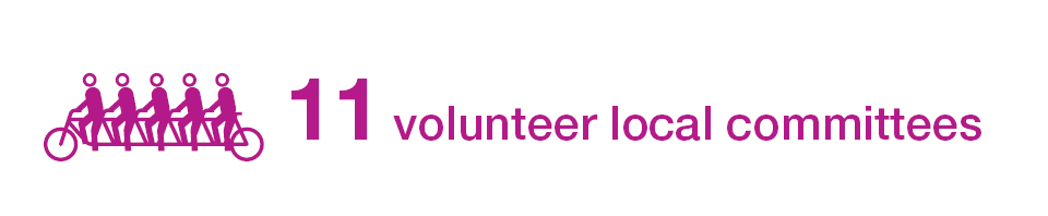 11 volunteer local committees