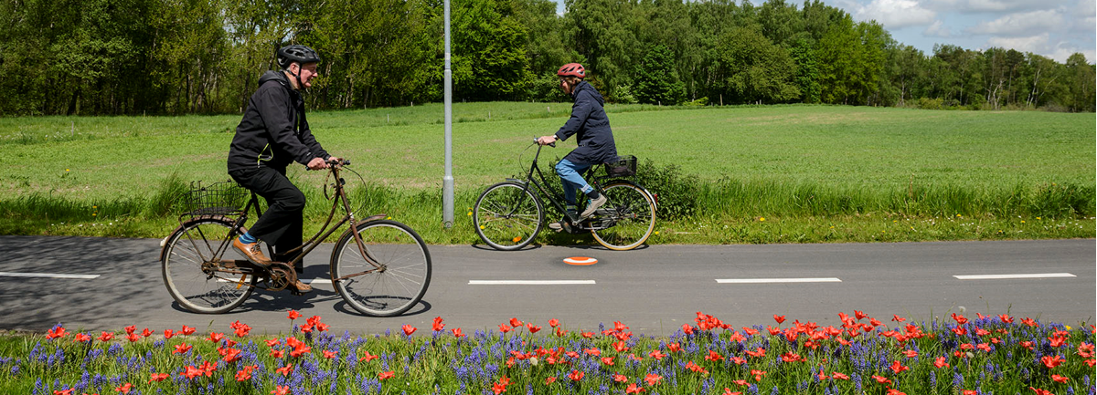 A man and a woman ride their bikes along a cycle highway in the Capital Region of Denmark. The woman rides her bike westward and the man rides his bike eastward. It is a beautiful, sunny day and they are surrounded by a lush grass field on one side and a field of red flowers on the other side.