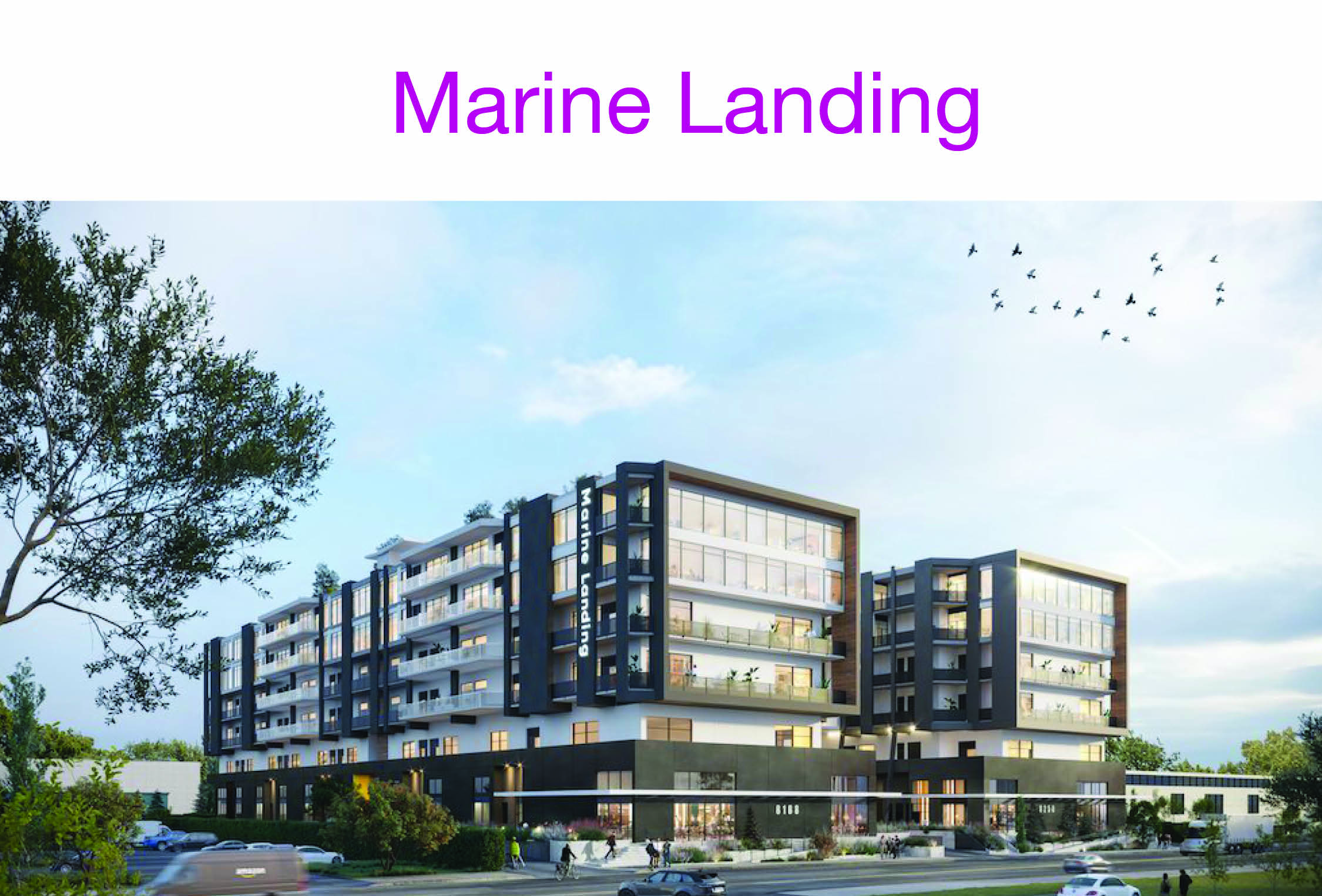 Marine Landing Case Study with image of proposed development that has two buildings