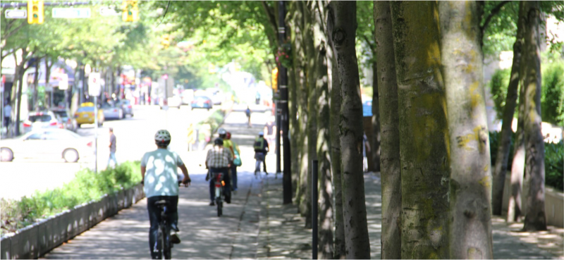 Tree-lined, separated bike lane